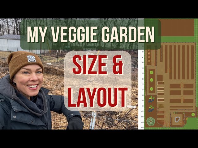 My Vegetable Garden Size and Layout:  2025