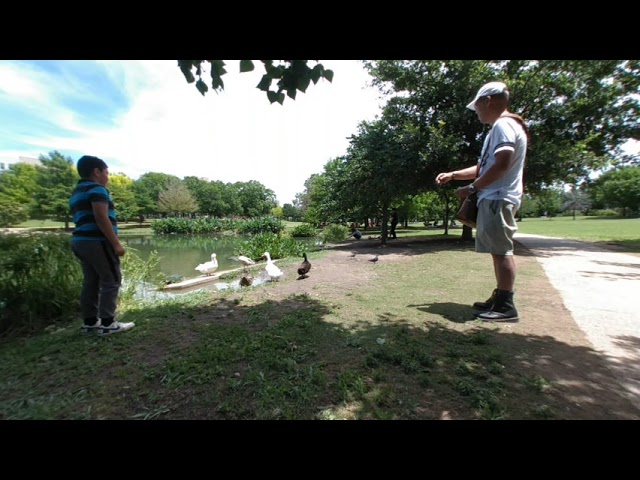 2020-05-17 Vlog #71 Trying to feed the Ducks