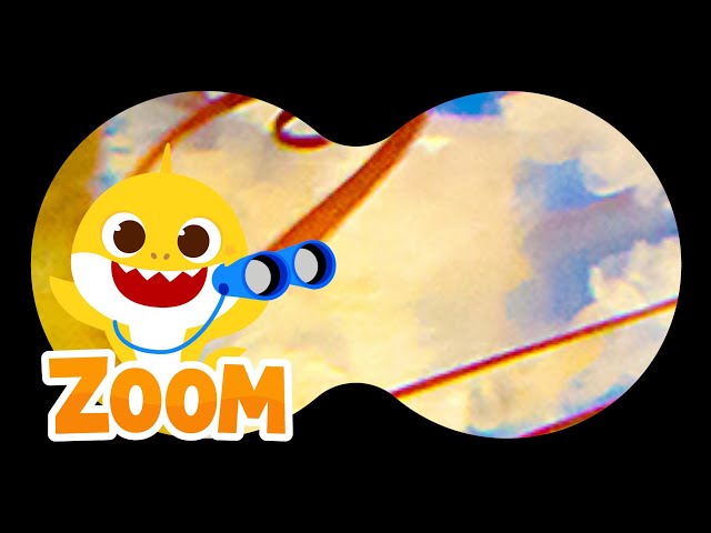 Animal Puzzle with Baby Shark |❓Guess the Animals | Zoom Zoom Zoom | Learn Animals