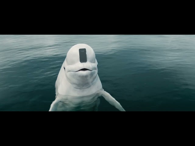 Genius Beluga [EXTENDED CUT] I NerdWallet Big Game Commercial 2025