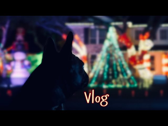 Christmas Lights! (VLOG)