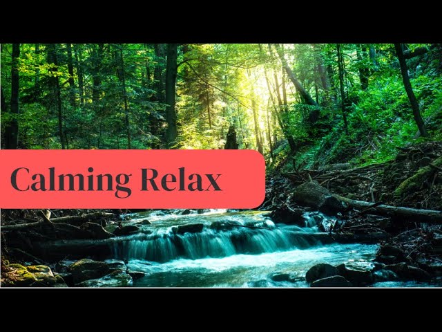 "Peaceful Relaxation. Soothing  Calming Nature Piano Music"