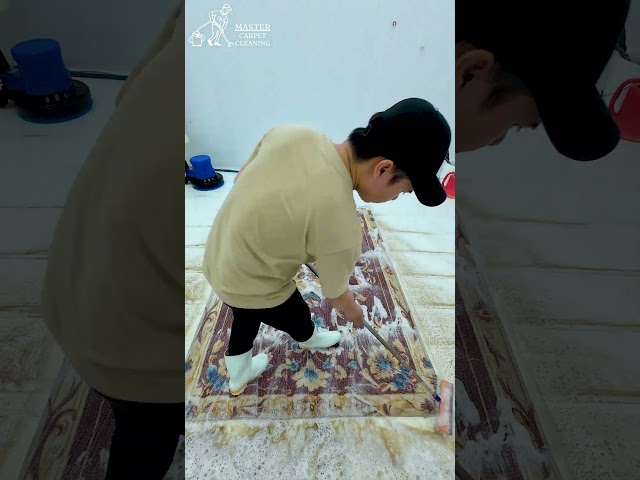 Scrubbing & Water Sounds – The Ultimate Carpet Cleaning ASMR #shorts #carpetcleaning