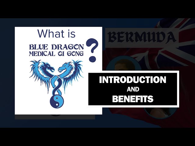 What is Blue Dragon Qigong? Intro & Benefits of Blue Dragon Medical Qigong 2023/2024