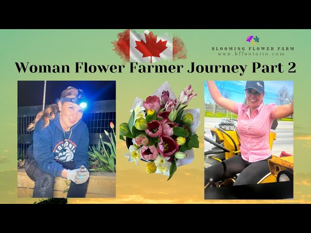 My Flower Farming Journey Part 2 Flower growing, harvesting and sales