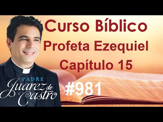 Curso Bíblico 981 - Livro do Profeta Ezequiel 15 - A videira lançada ao fogo -Padre Juarez de Castro