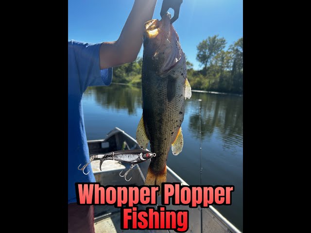 Whopper Plopper Fishing