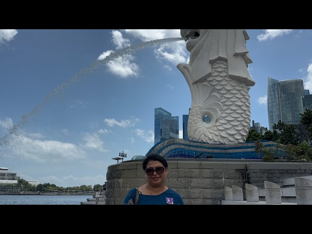 #Singapore City Tour#Merlion Park#Marine Bay Sands Rooftop Sky Parks#