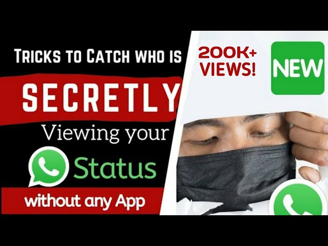 3 Tricks to See who is Secretly Viewing your WhatsApp Status without any App [2023]