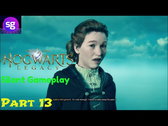 Hogwarts Legacy Silent Gameplay No Commentary Part 13