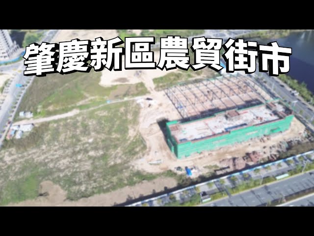 肇慶新區農貿街市｜中國基建外國速度