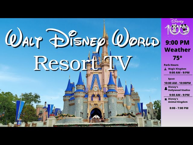 WDW Resort TV Today Channel - Disney World - LIVE STREAM - New Version