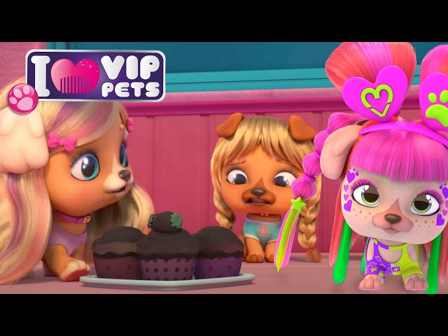 VIP PETS Season 1 Adventures!! Full Episodes of ALL S1 Compilation! 🌈 Enjoy Cartoons for Kids