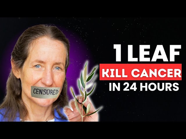 The Cancer Destroying LEAF That Doctors Aren’t Telling You About!  Barbara O’Neill SECRET Discover!