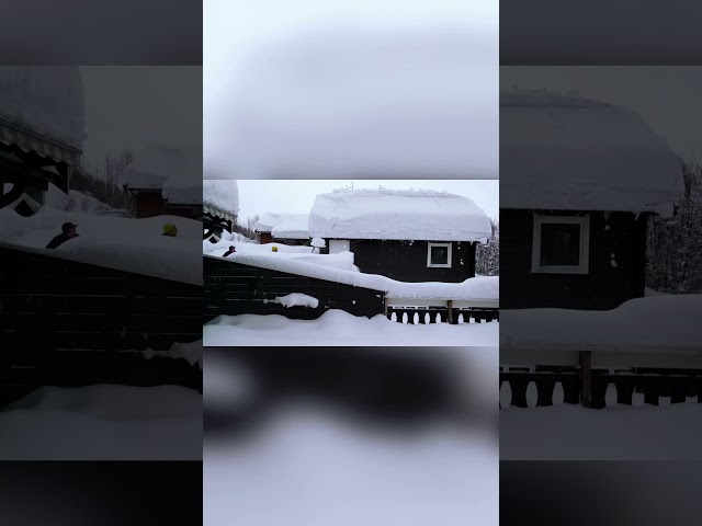 Snow Removal   So Satisfying!