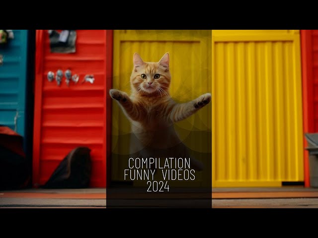 Funny Videos Compilation #catdance #shorts #aicatdance #viral #top #yt #ai #trending