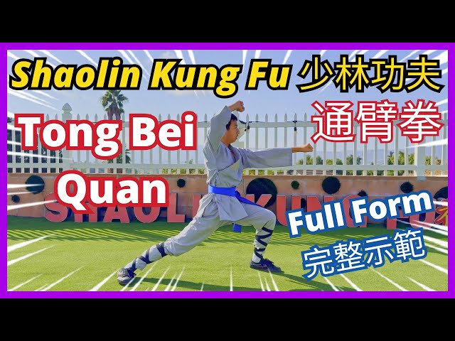 Tong Bei Quan (Full Form) - Shaolin Kung Fu Demonstration 🤜 #少林功夫 #少林通臂拳 #拳法 #功夫教學 示範 #通臂拳 完整示範 教學 🤜