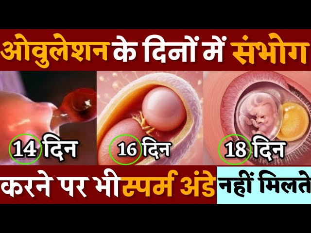 प्रेग्नेंट नहीं होने के 5 प्रमुख कारण। Trying To Get Pregnant Fast|Pregnancy Tips Hindi|Earlytips