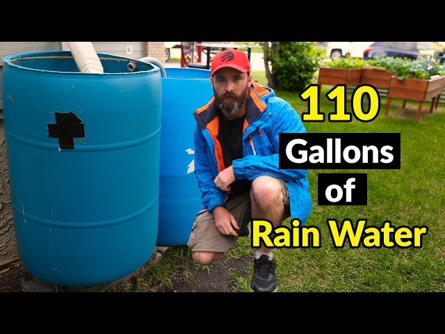 Ultimate Rainwater Collection System Tutorial (416 Liters)