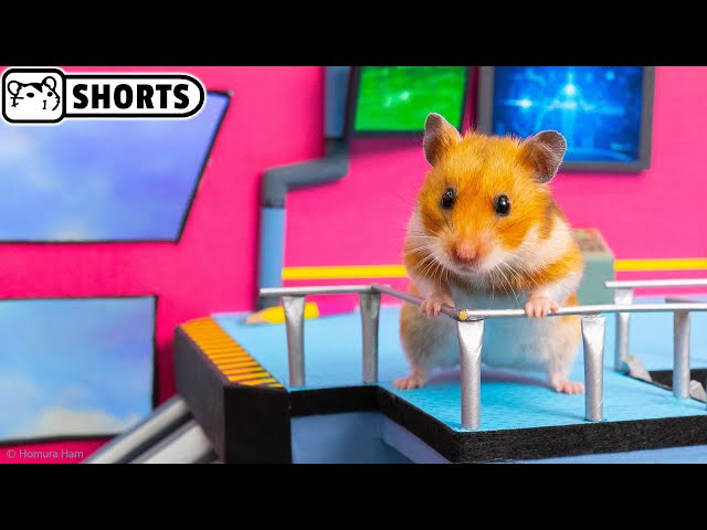 Hamster impostor Among Us - Time Loop on the Airship #Shorts 😈 Homura Ham