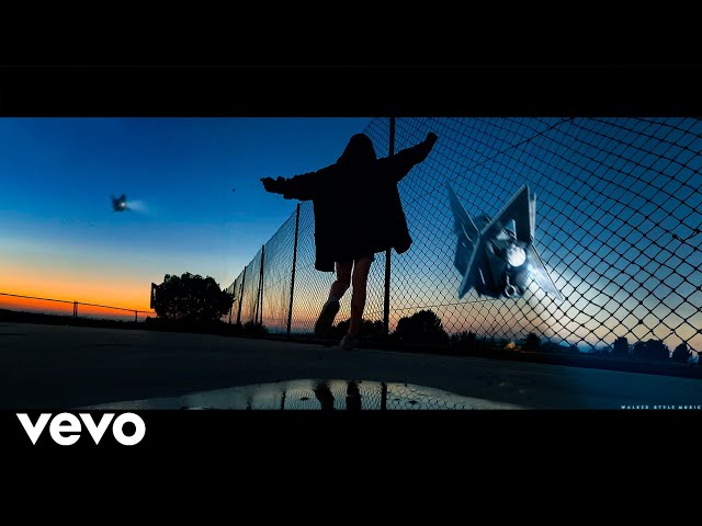 Alan Walker - Rush Into The Night | New Song 2024 (Official Video)