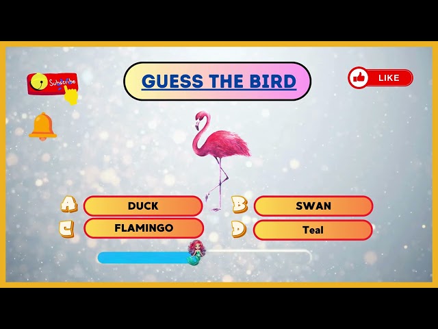 Guess  Bird 🐦 #trending #video #viralvideo #love #trendingshorts #youtubeshorts #youtube #music #new