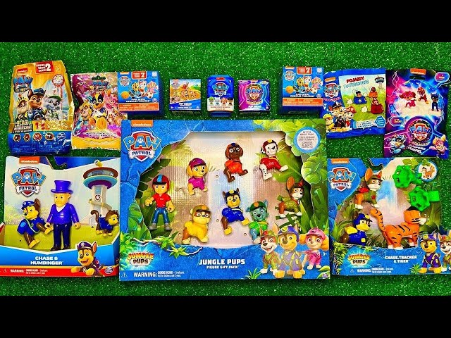 [🌟NEW ] Opening Mystery Surprise PAW PATROL Toys | ASMR