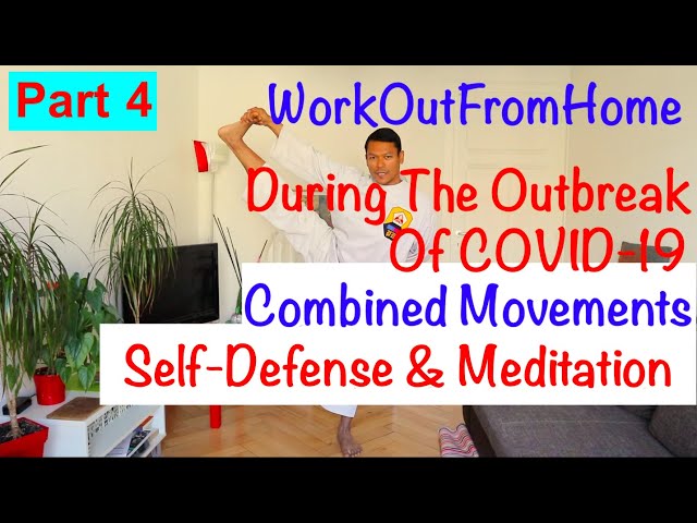 Fight Against COVID-19 with Silat Perisai Diri in Switzerland | WorkingOutFromHome Part 4