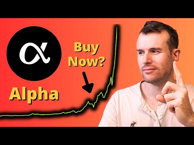 How High Can Alpha go? 🤩 Crypto Token Analysis