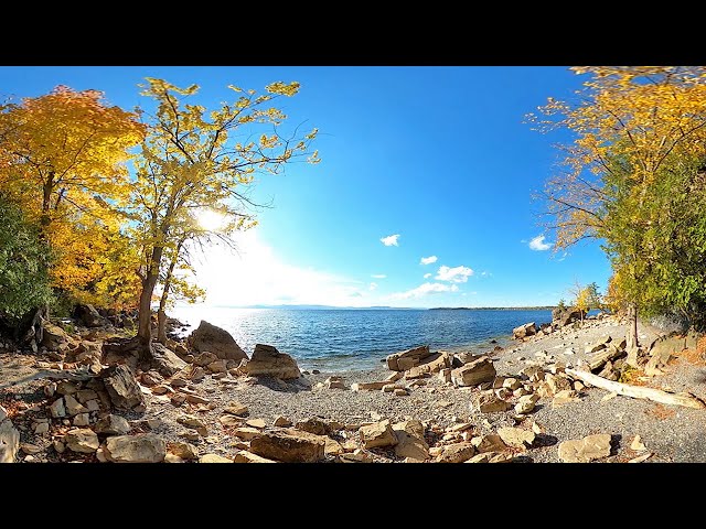 Wonder Along the Shore: The Natural Treasures of Lake Champlain