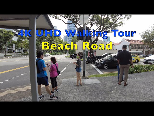 美芝路/Beach Road - Singapore Scene 4K #walkingtour #singapore