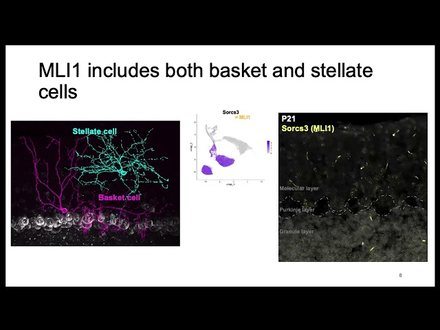 Benjamin- Israel Moke - TorBUG Talk – October 2024