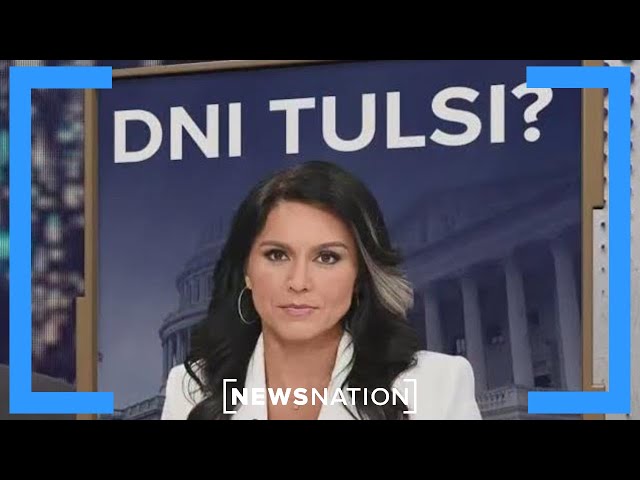 Gabbard struggles to woo senators ahead of confirmation fight | Dan Abrams Live