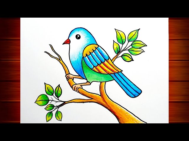 Bird Drawing for Beginners || Bird Scenery Drawing || Birds Drawing Colour || How to Draw Birds.