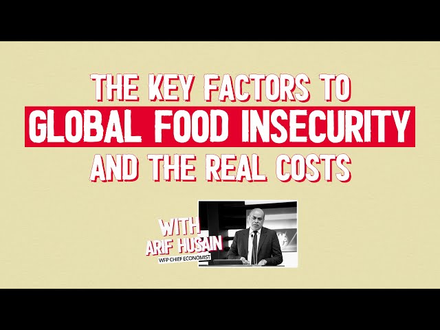 The key factors to global food insecurity and the real costs