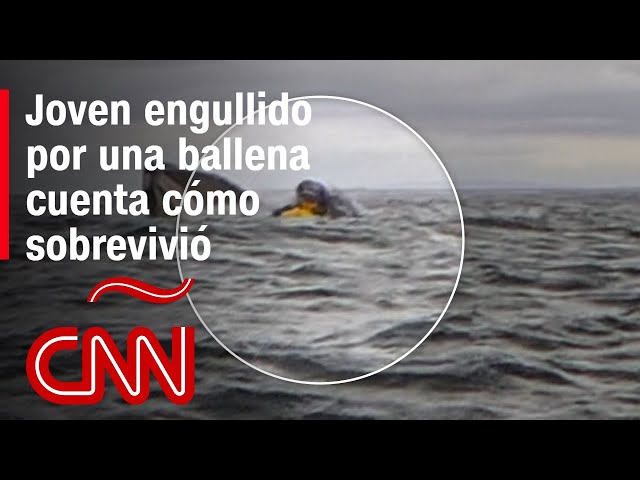 “Sentí una textura babosa, pensé que iba a morir”, dice joven tragado por una ballena en Chile