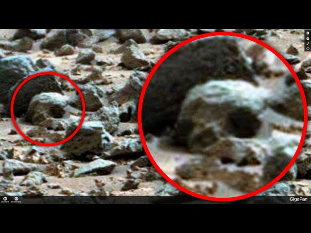 Martian Skulls and many other strange finds from Mars