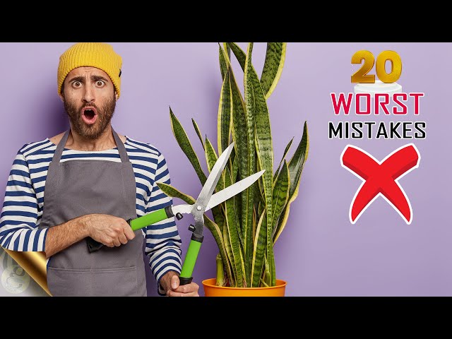 20 WORST GARDENING MISTAKES – Unknowingly? | GARDEN TIPS