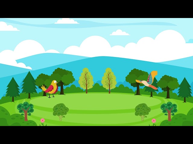 Birds story | Animation