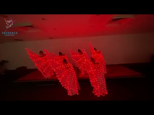 Colorful Led Butterfly Wings Performance | A.H.Mredul | SKYDANCE Company