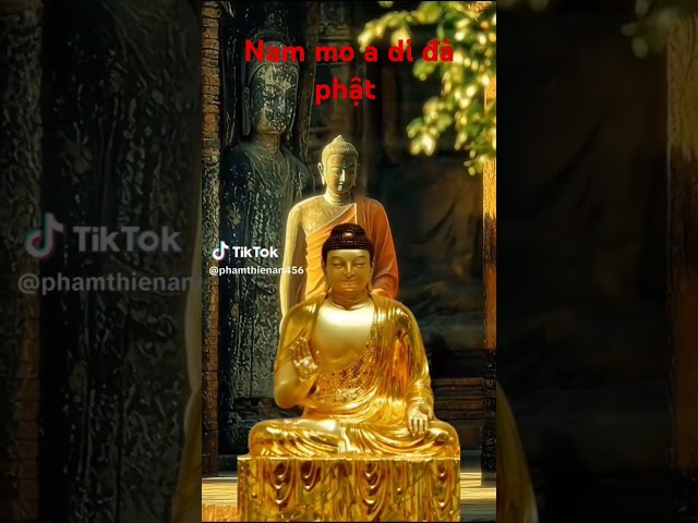 Nam mo a di đà phật