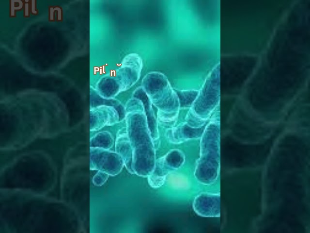 Cell The Unit of Life Quick Revision "PROKARYOTIC CELL " | NEET Biology 2025