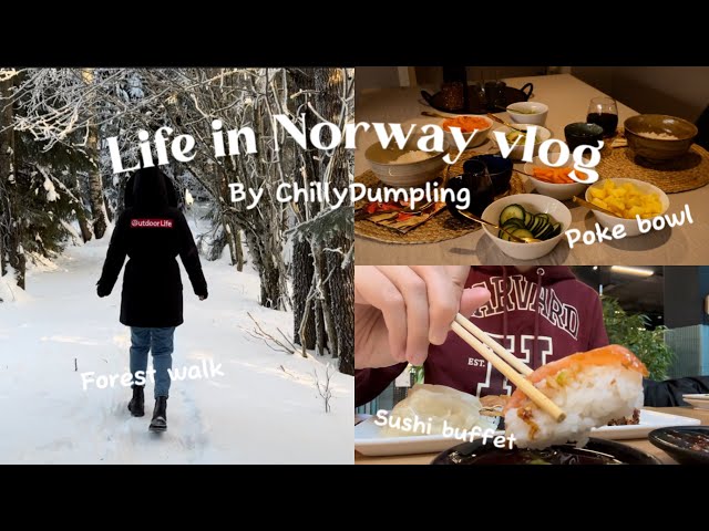 My healing life in Norway 🇳🇴 | The beauty of winter helps me endure the cold ❄️