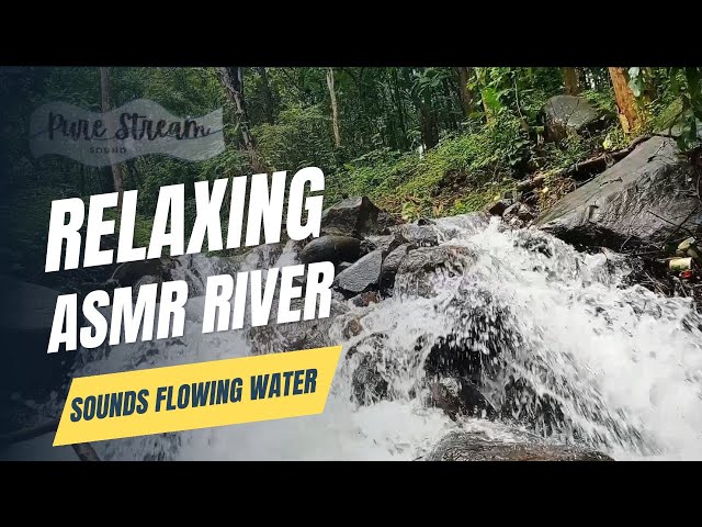 Relaxing ASMR River Sounds | Calming Water Flow & Nature Ambience for Sleep & Focus