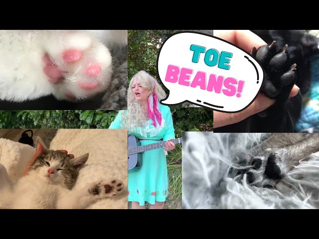 Toe Beans (to the tune of Dolly Parton's "Jolene")