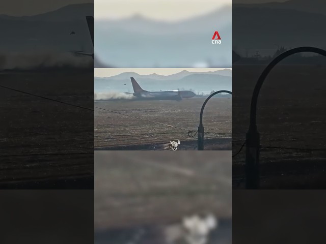 Moments before Jeju Air plane crashes in South Korea