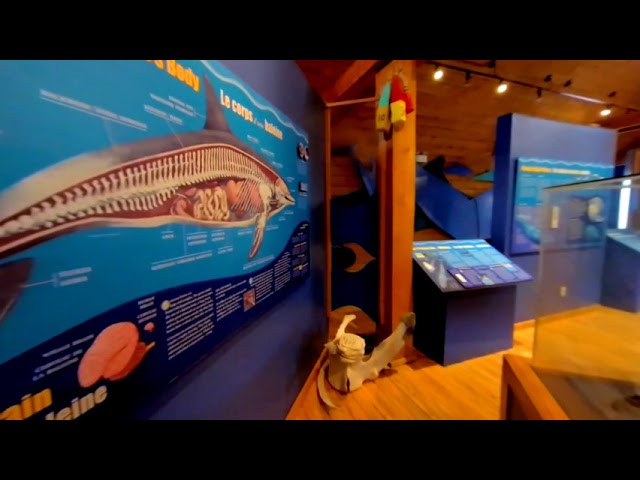 Pleasant Bay Whale Interpretive Centre, Cape Breton Island VR 180