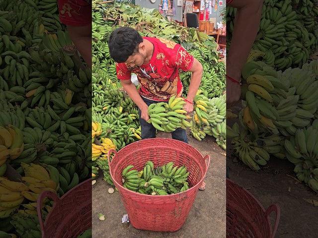 Thai Banana Cutting  - Fruit Cutting Skills