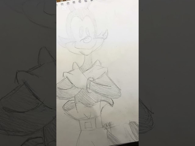 Yakko warner dibujo