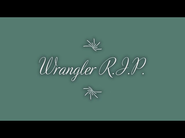 Freedom Information | We lost "Wrangler" this morning in my Arms at 3.07 AM